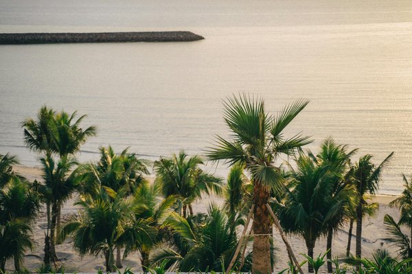 Unlock affordable adventures: the definitive guide to an unforgettable eden project experience